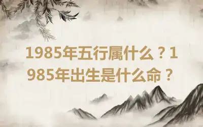 1985五行属什么